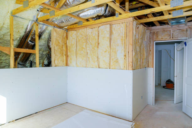 Best Wall Insulation Installation  in Linden, MI